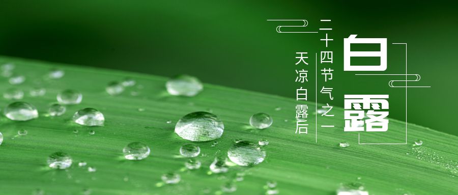 包图_3e510a3b15cf32b30718d1b52c6def55_42269.jpg