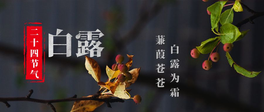 包图_86eb1f9bcd311bcc0c160d7fa25e5a14_73419.jpg